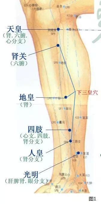 下三皇穴位